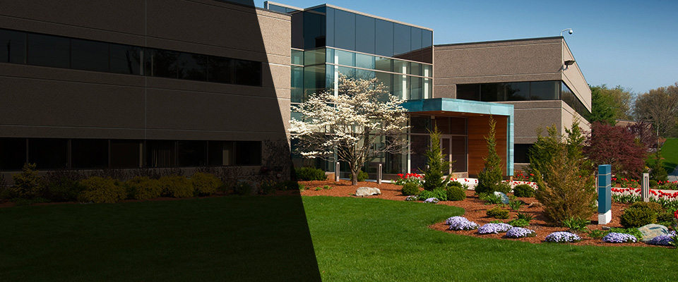 Valley Forge Landscapers
