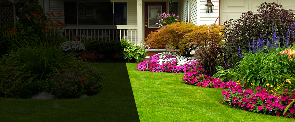 Valley Forge Landscapers