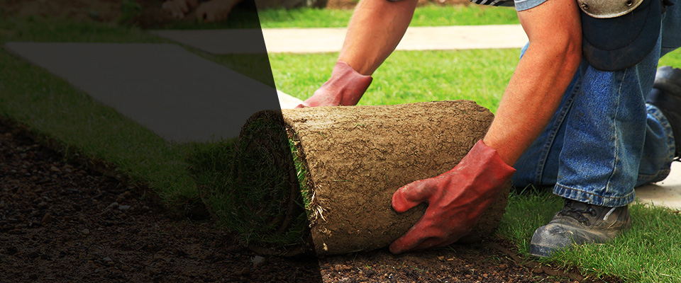 Valley Forge Landscapers